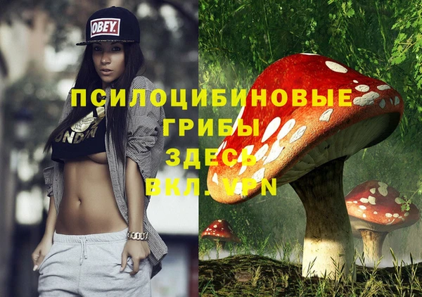 прущие крисы Бугульма