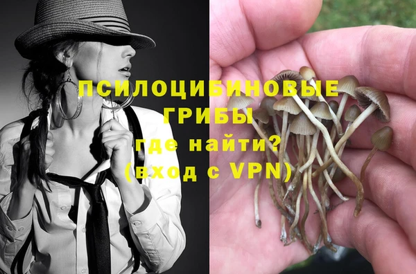 прущие крисы Бугульма