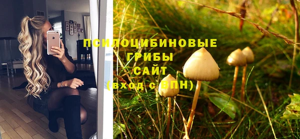 MESCALINE Бородино
