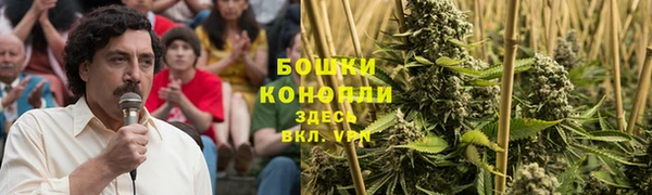 соль ск Бронницы