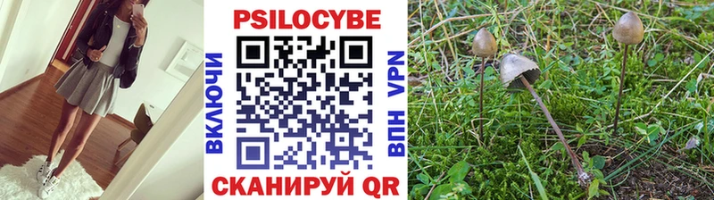 Псилоцибиновые грибы Cubensis  Камызяк 