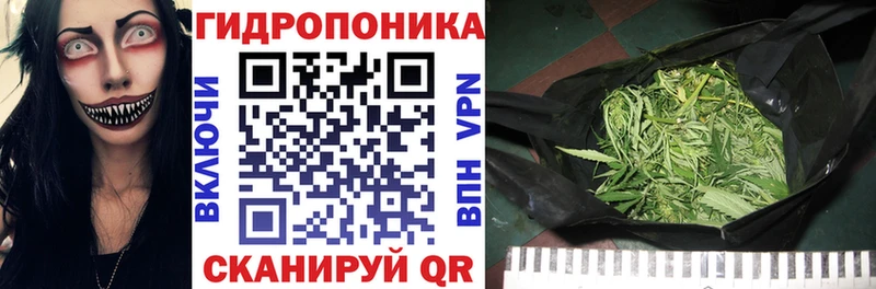 где найти наркотики  KRAKEN ONION  Канабис индика  Камызяк 